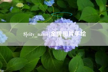 山东金牌图片手绘
