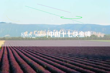 山东中国十七块金牌