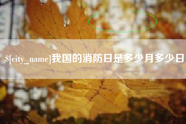 山东我国的消防日是多少月多少日