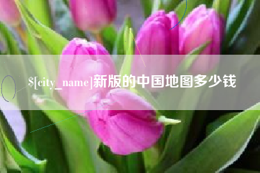山东新版的中国地图多少钱