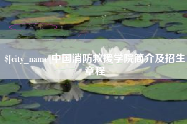 山东中国消防救援学院简介及招生章程