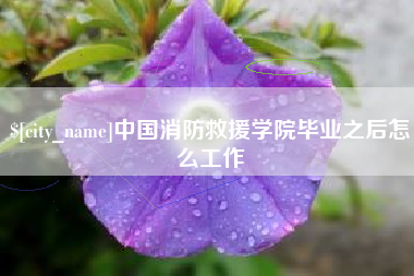 山东中国消防救援学院毕业之后怎么工作