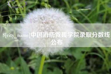 山东中国消防救援学院录取分数线公布