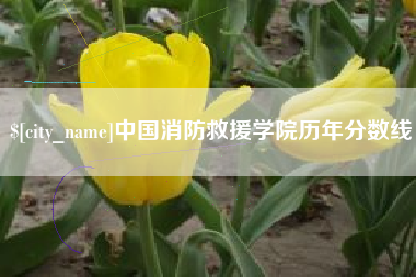 山东中国消防救援学院历年分数线