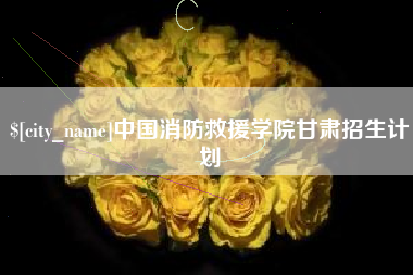 山东中国消防救援学院甘肃招生计划