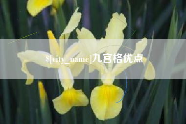 山东九宫格优点