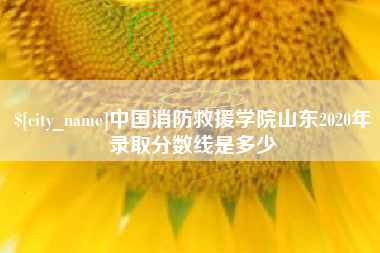 山东中国消防救援学院山东2020年录取分数线是多少