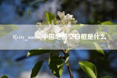 山东中国地图空白框是什么