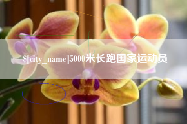 山东5000米长跑国家运动员
