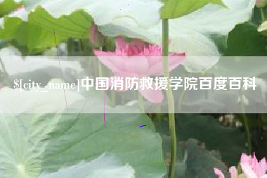 山东中国消防救援学院百度百科