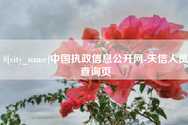 山东中国执政信息公开网-失信人员查询页
