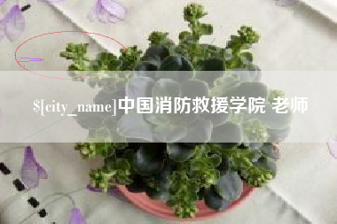 山东中国消防救援学院 老师