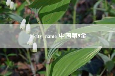 山东中国第9金
