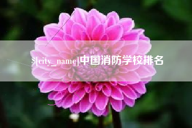 山东中国消防学校排名