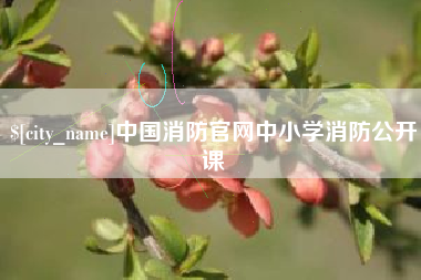 山东中国消防官网中小学消防公开课