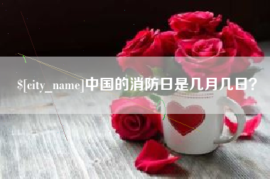 山东中国的消防日是几月几日？