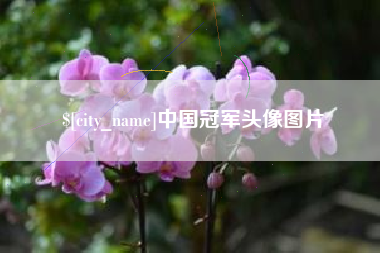 山东中国冠军头像图片