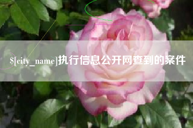 山东执行信息公开网查到的案件