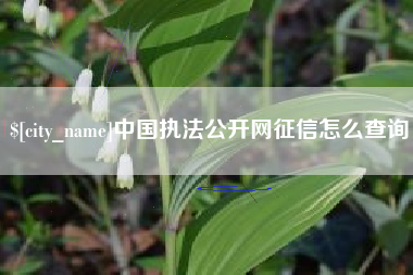 山东中国执法公开网征信怎么查询