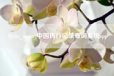 山东中国执行记录查询系统app