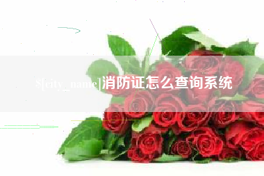 山东消防证怎么查询系统