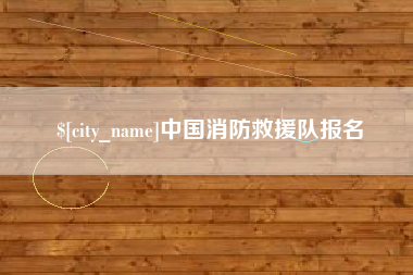 山东中国消防救援队报名