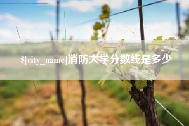 山东消防大学分数线是多少