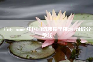 山东中国消防救援学院2019录取分数线