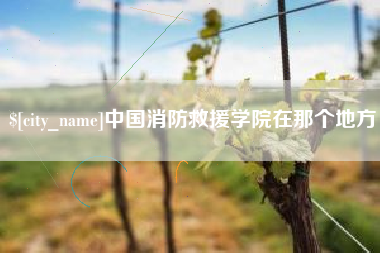 山东中国消防救援学院在那个地方