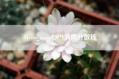 山东2021消防分数线