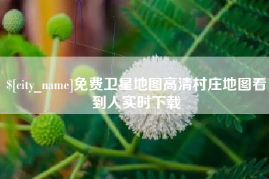 山东免费卫星地图高清村庄地图看到人实时下载