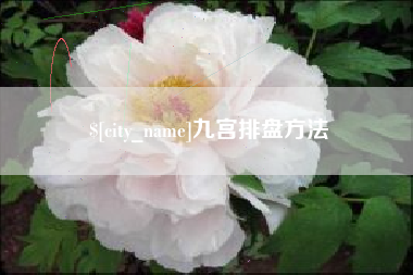 山东九宫排盘方法