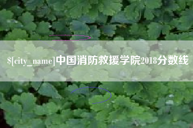 山东中国消防救援学院2018分数线