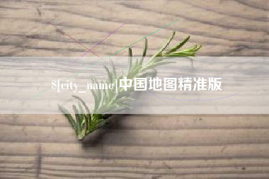 山东中国地图精准版