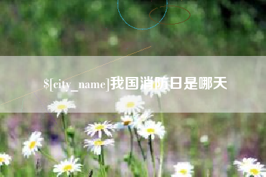 山东我国消防日是哪天