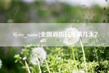 山东全国消防日是第几天？