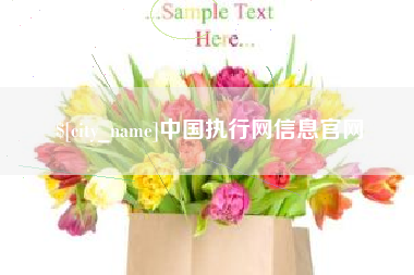 山东中国执行网信息官网