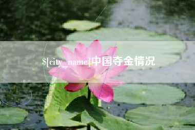 山东中国夺金情况
