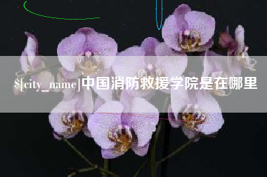 山东中国消防救援学院是在哪里