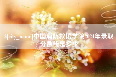山东中国消防救援学院2024年录取分数线是多少