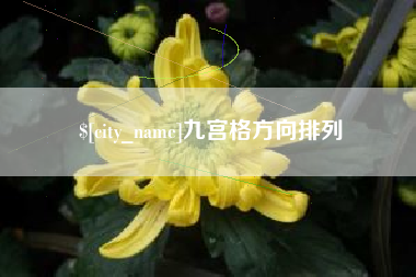 山东九宫格方向排列