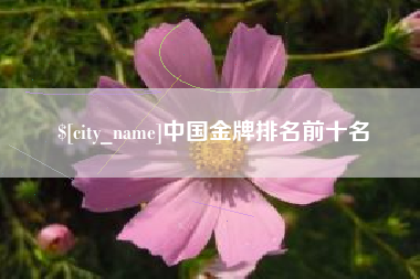 山东中国金牌排名前十名