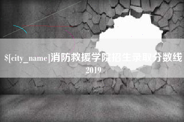 山东消防救援学院招生录取分数线2019