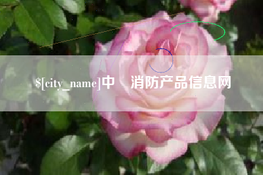 山东中囯消防产品信息网