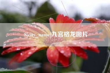 山东九宫格龙图片