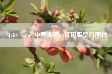 山东中国地图a4打印版空白图片