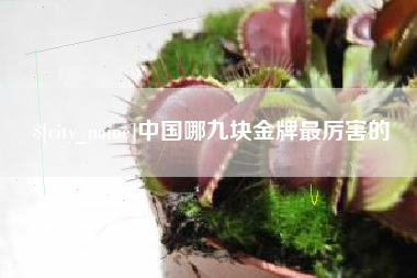 山东中国哪九块金牌最厉害的
