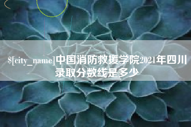 山东中国消防救援学院2021年四川录取分数线是多少