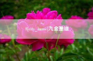 山东九金是谁