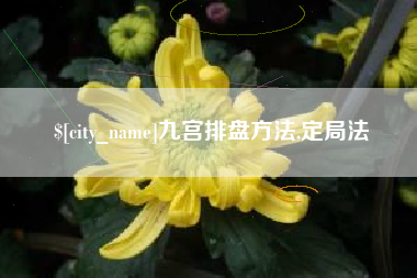 山东九宫排盘方法,定局法